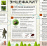В Верхнем Уфалее выявлен случай клещевого энцефалита - Уфалейский Рабочий