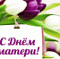 С днем матери! - Верхнеуфалейский городской округ