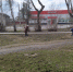 Субботник - это добрая традиция - ЦБС Верхнеуфалейского городского округа