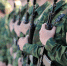 Объявлен набор на военную службу по контракту в воинские части Челябинской области - Верхнеуфалейский городской округ
