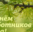 Поздравление от губернатора с Днём работников леса и лесоперерабатывающей промышленности - Уфалейский Рабочий
