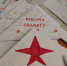 «Единая Россия» запустила акцию «Новогодняя почта» - Уфалейский Рабочий
