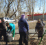 Субботник - добрая традиция - ЦБС Верхнеуфалейского городского округа