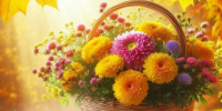 jeXglZ2HQrQIi2ITK_zJp6dekKux5mVx2TcVqzAG50C4bIesOG-TcePmCKDrgEdc4Bqj4dYQ8pibrR_OdL3g2oqd.jpg - Управление образования